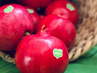 Frutalmente apoia e-book sobre romã da Associação Portuguesa de Nutrição Frutalmente apoia e-book sobre romã da Associação Portuguesa de Nutrição